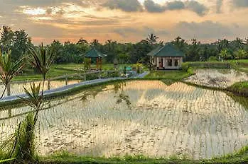 Cahaya Ubud Villa 0*,
